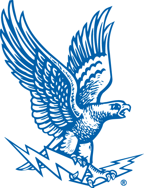 Air Force Falcons Helmet logo Iron On Patch on eBid United States