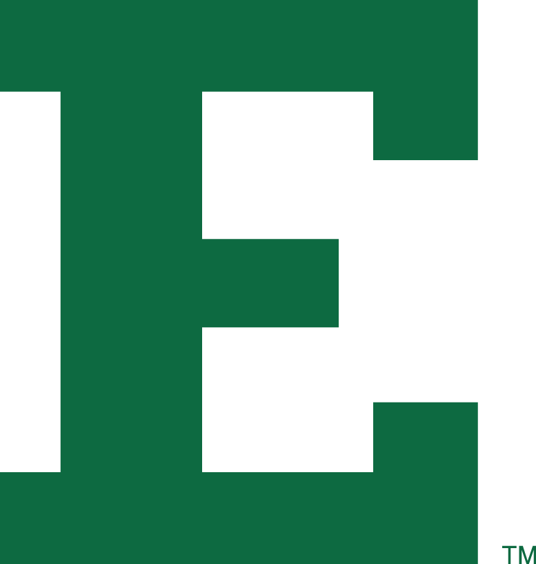 Eastern Michigan Eagles logo Iron On Patch